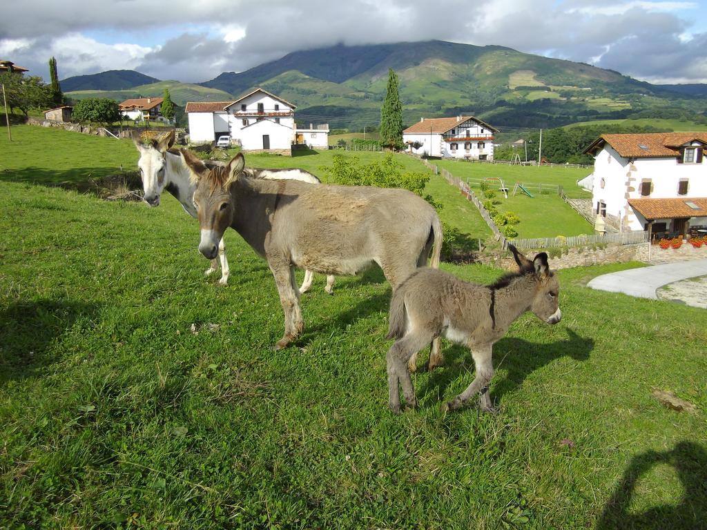 Casa